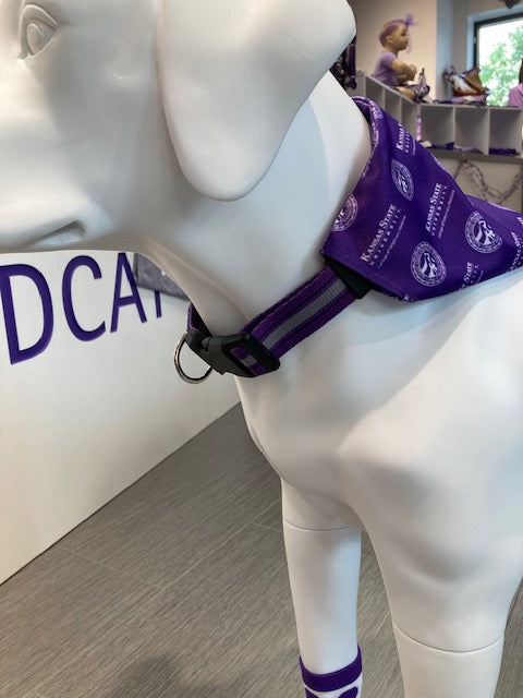 A view of the bandana wrapped around and attached to a CVM dog collar. 