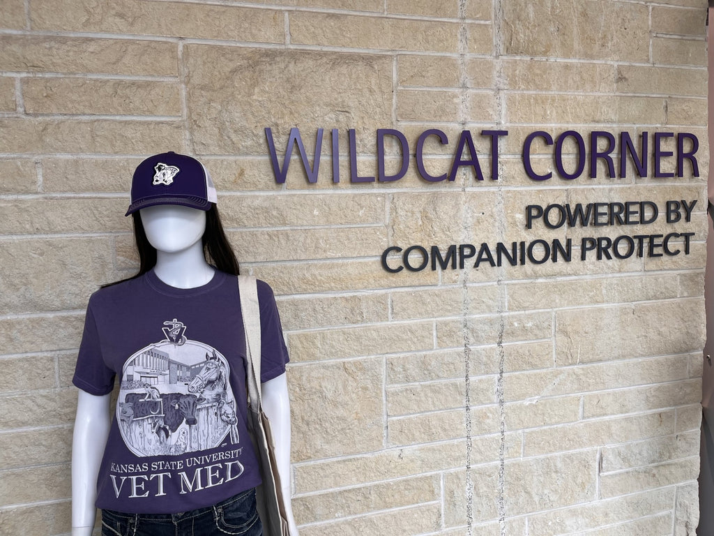A mannequin wearing a purple Kansas State University Vet Med t-shirt and a matching cap stands in front of a tan brick wall with 'WILDCAT CORNER' signage.