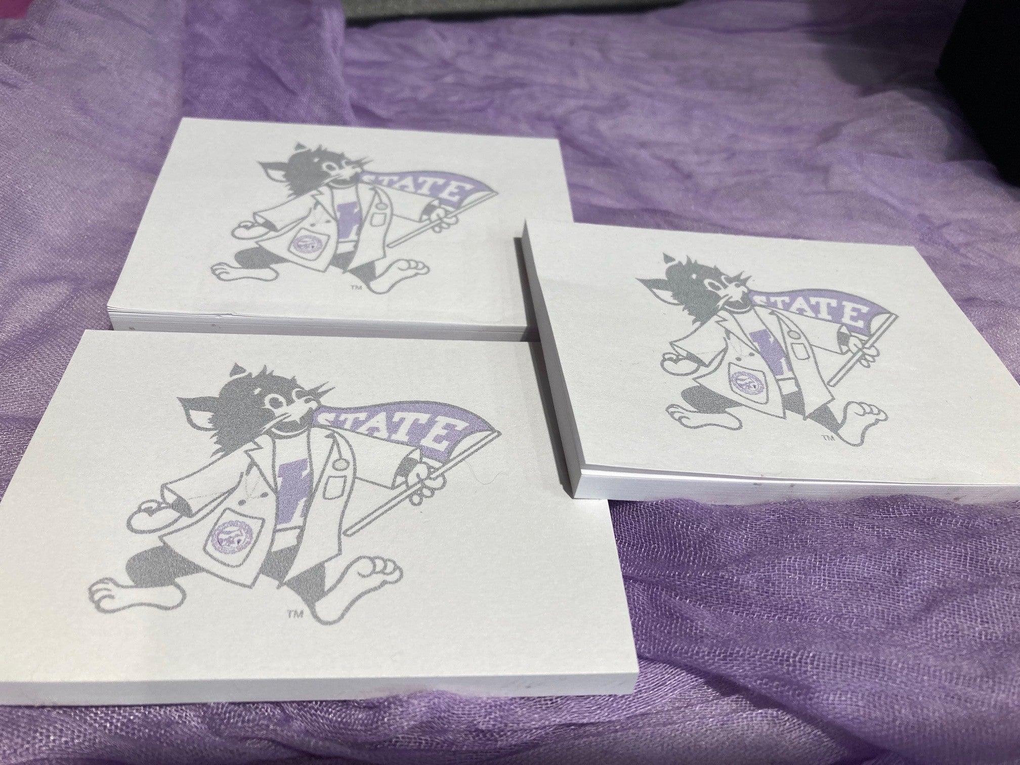 Multiple customized sticky note pads with an illustration of Labcoat Willie. 