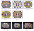 Various designs of Kansas State University belt buckles with different color schemes.