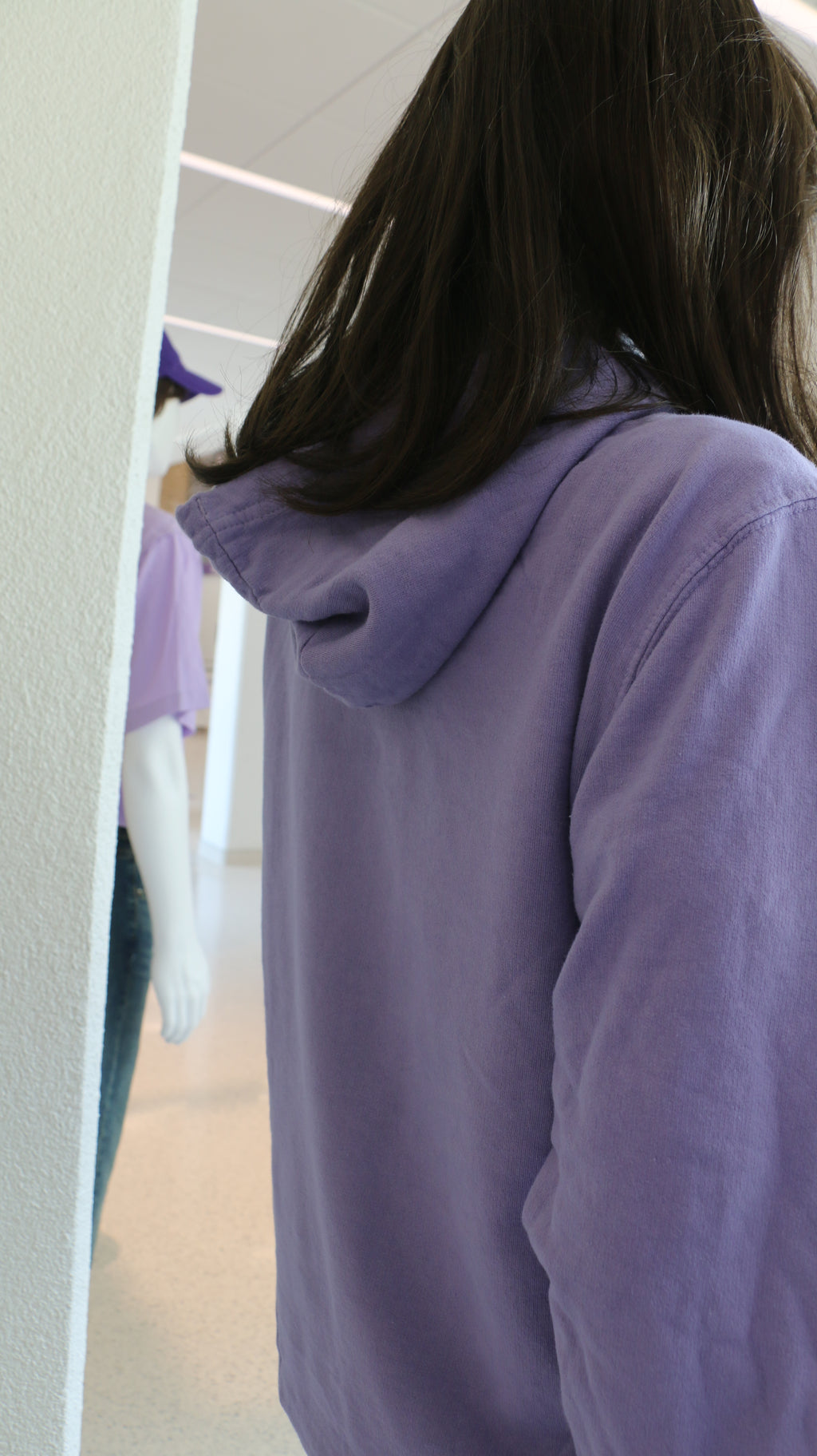 A rear view of the hoodie on the amethyst hooded sweatshirt. 
