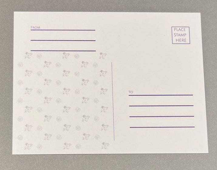 The white back of the postcard where a stamp, from address, and to address can be added. 
