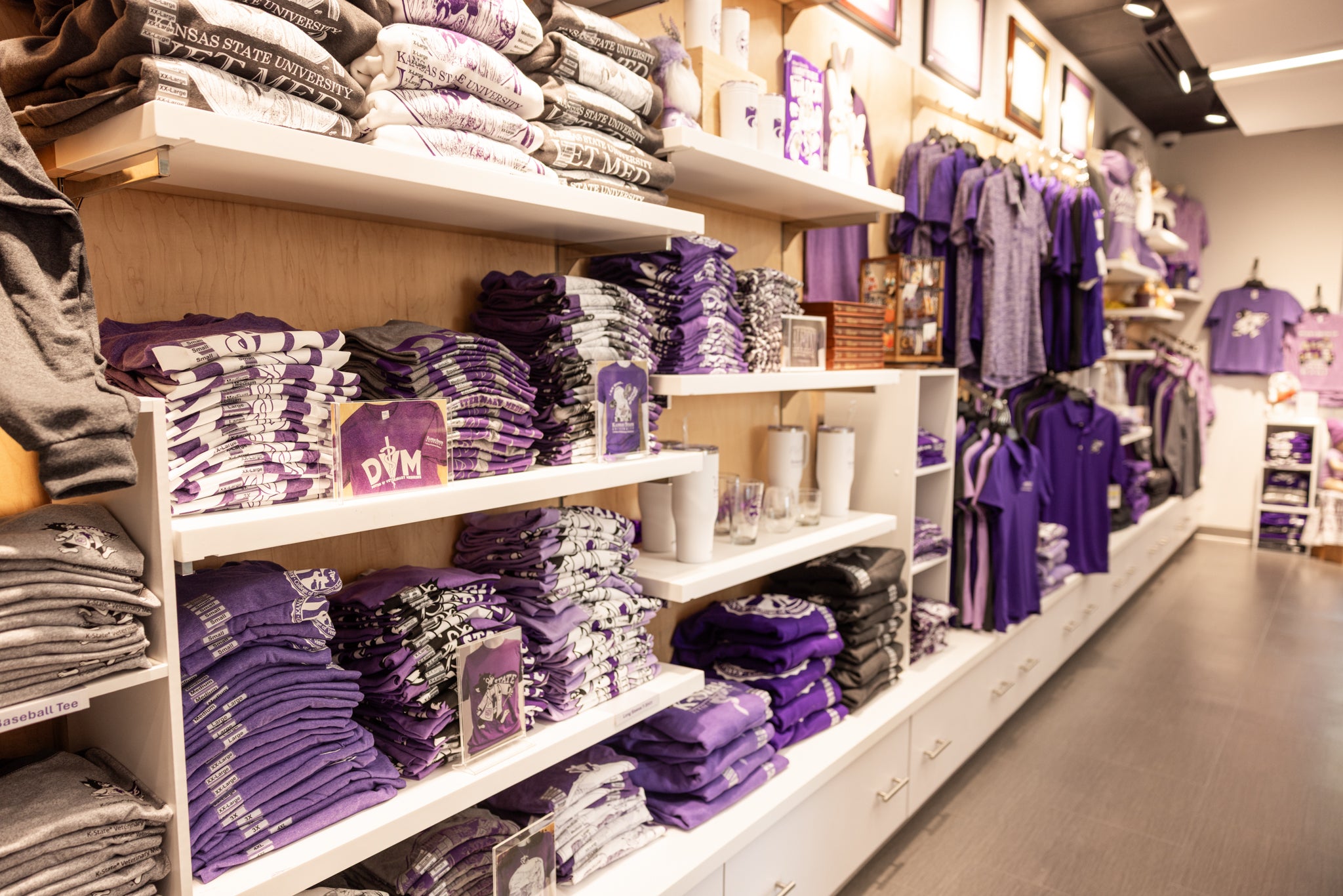 Wildcat Corner Store Shelf View