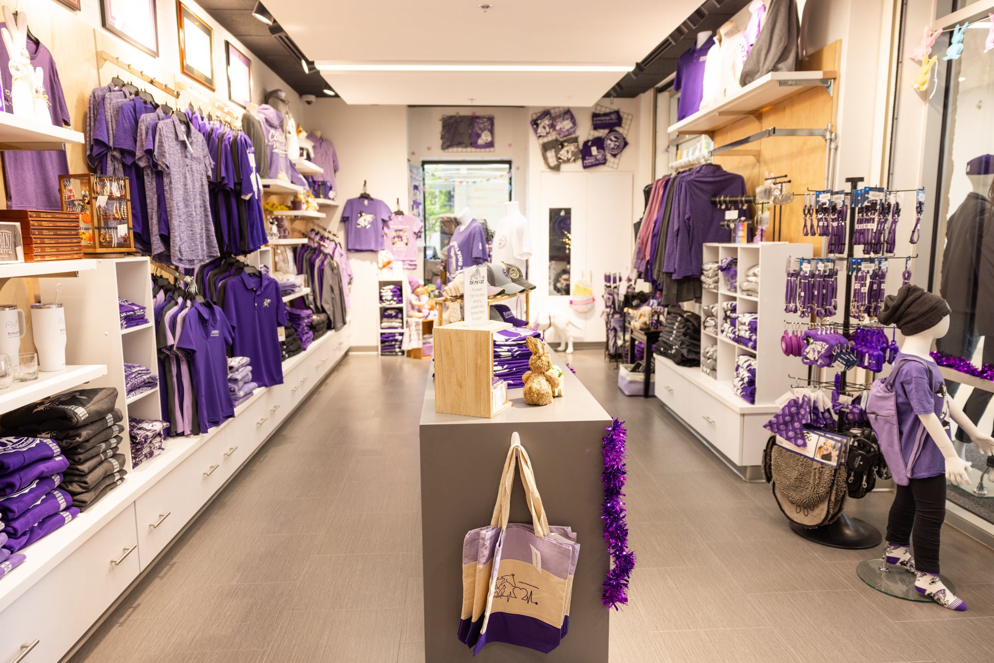 Wildcat Corner Store View