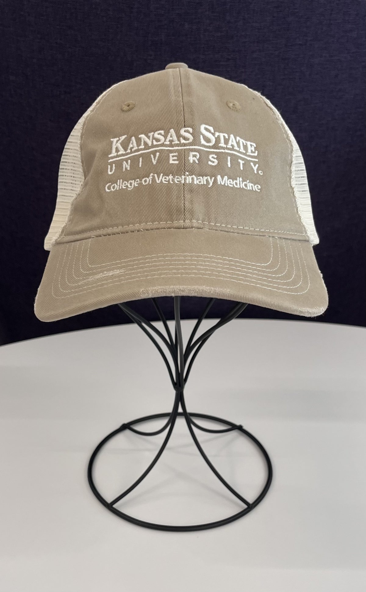 Distressed Edge Mesh Back Cap