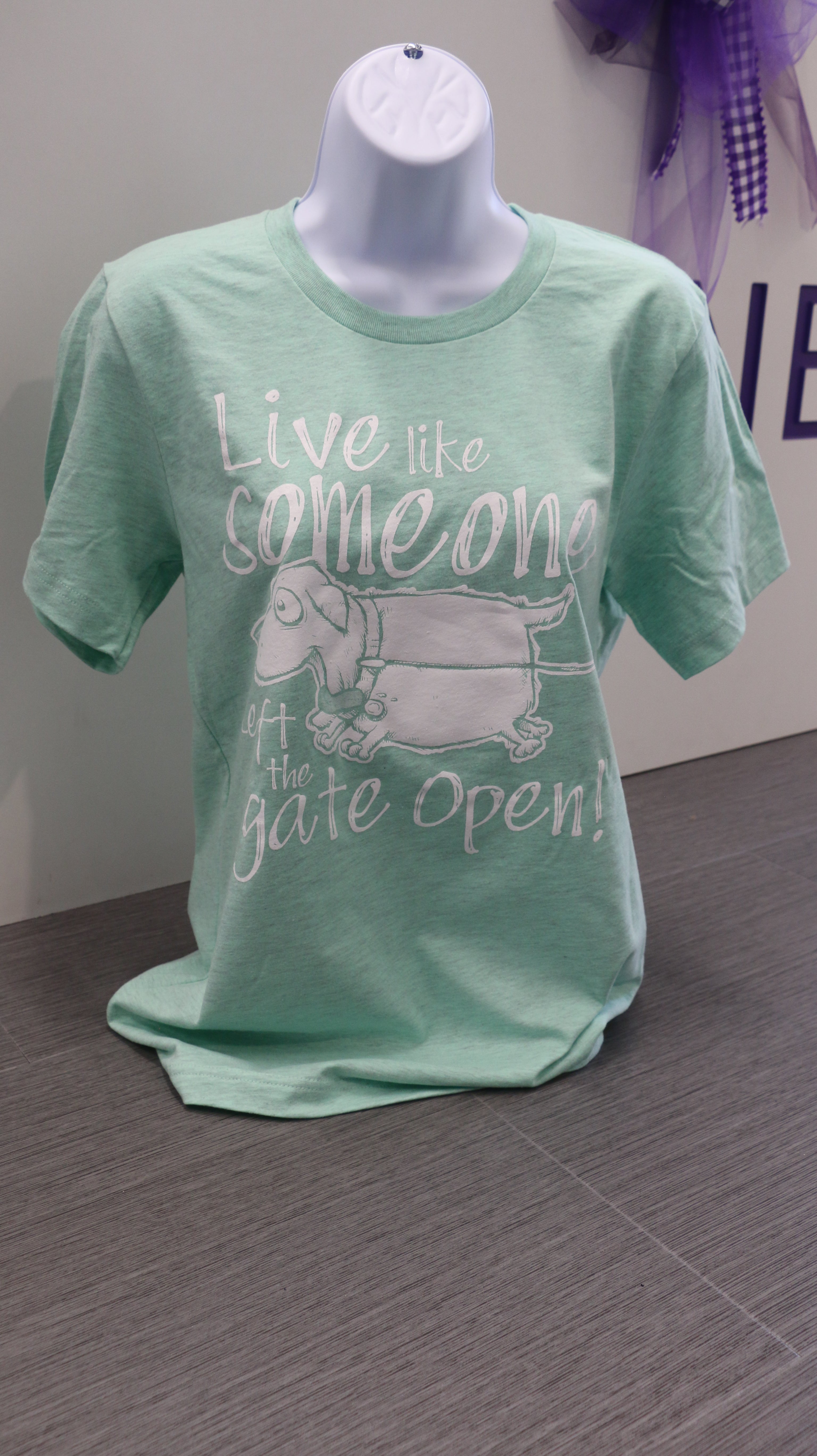 Light teal Bella Canvas t-shirt with white text that reads "Live like someone left the gate open!" with a dog illustration on the front.