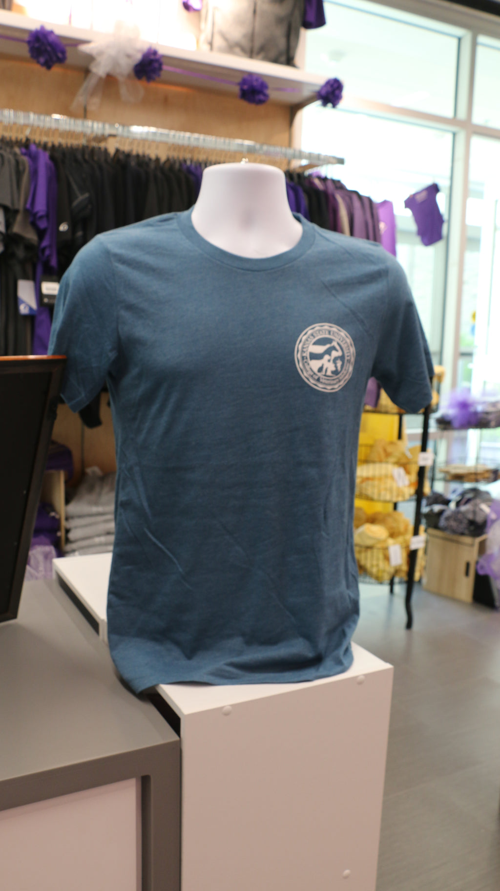 A teal Bella Canvas V-neck t-shirt with a white CVM seal on the upper left chest, displayed on a mannequin in a retail setting.