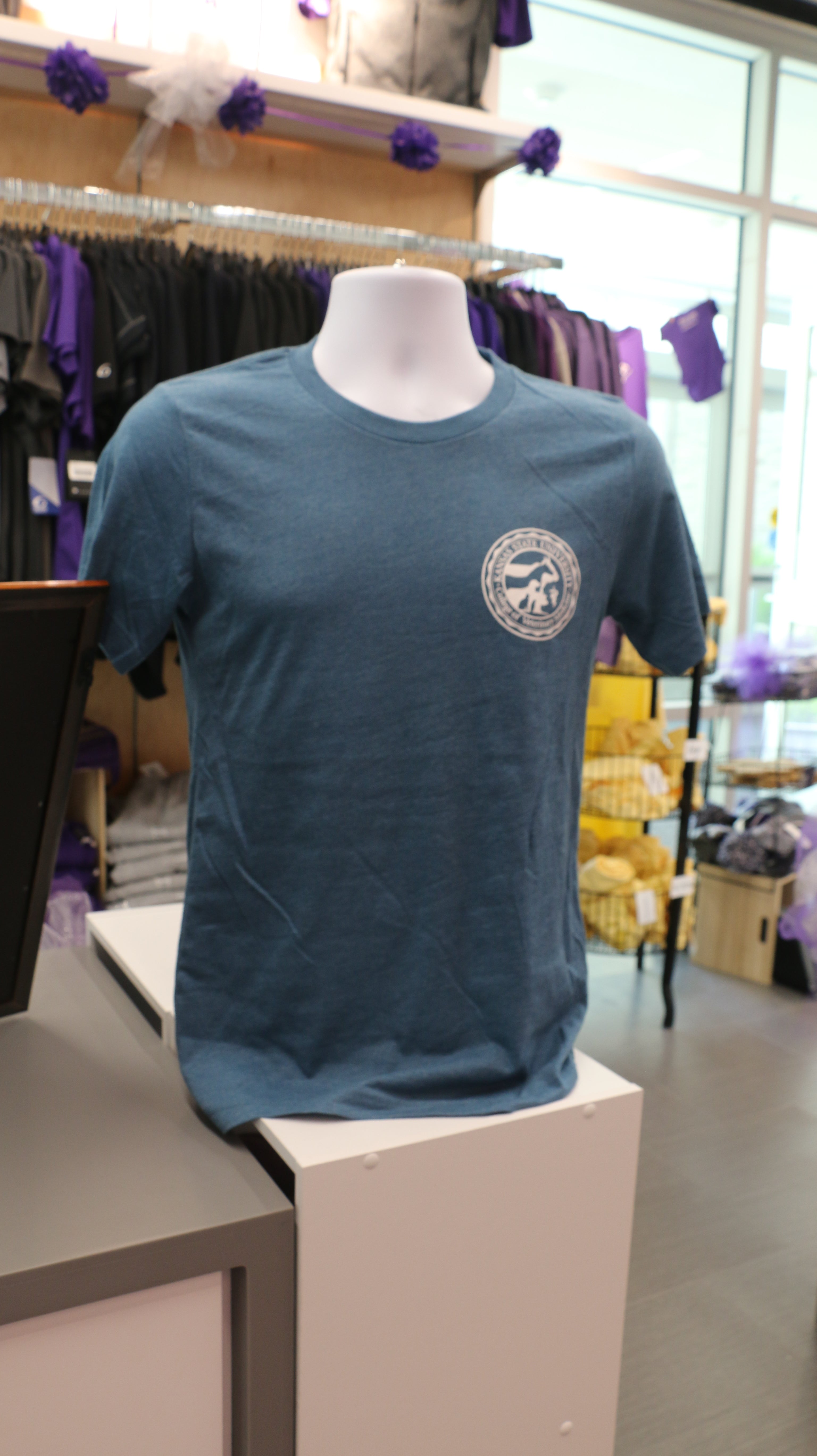 A teal Bella Canvas V-neck t-shirt with a white CVM seal on the upper left chest, displayed on a mannequin in a retail setting.