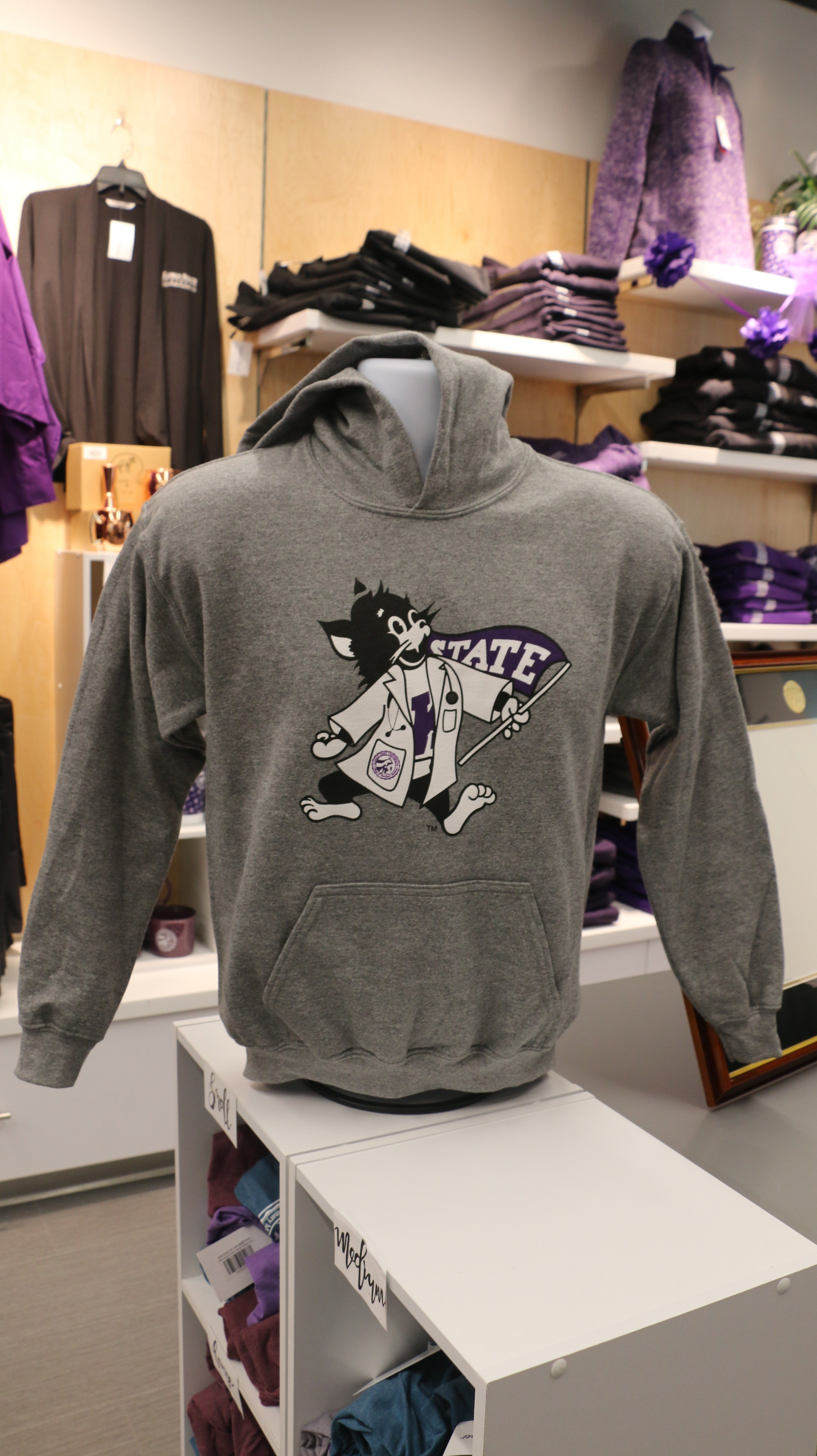 Youth hooded sweatshirt in gray color with a graphic Labcoat Willie design on the front.