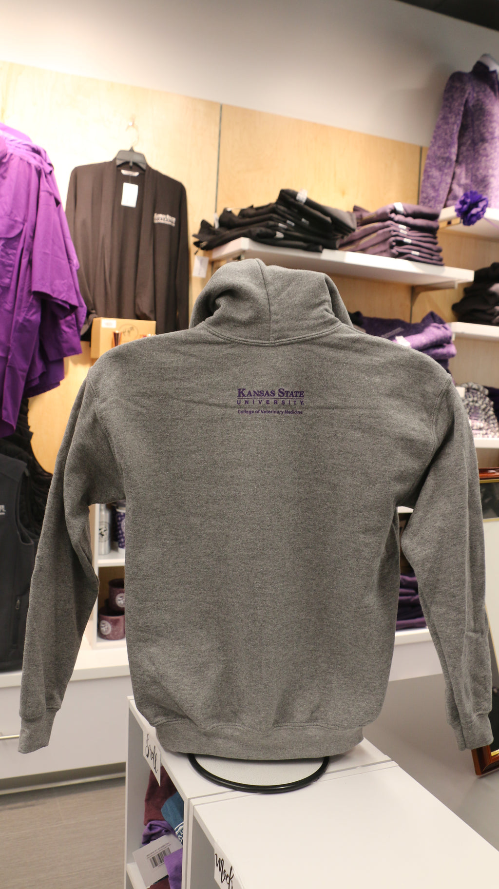 Youth hooded sweatshirt in gray color with a graphic Labcoat Willie design on the front.