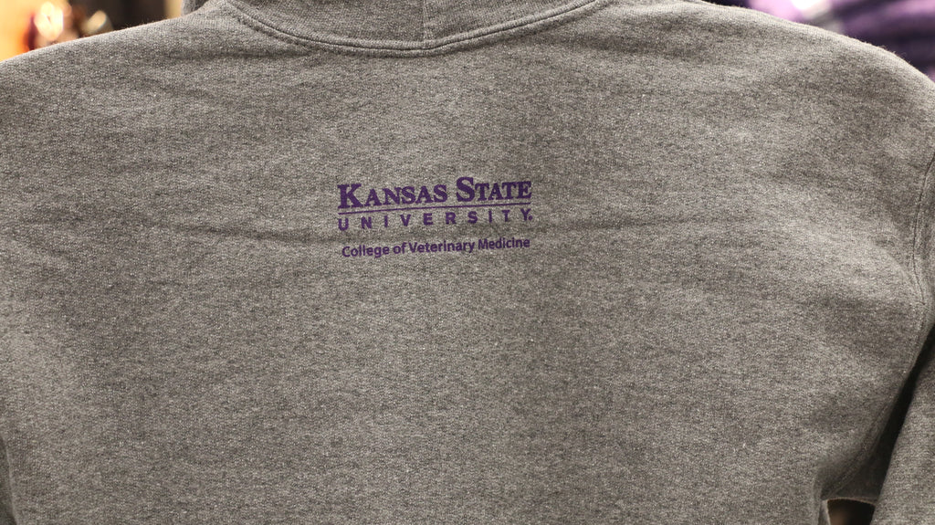 Youth hooded sweatshirt in gray color with a graphic Labcoat Willie design on the front.
