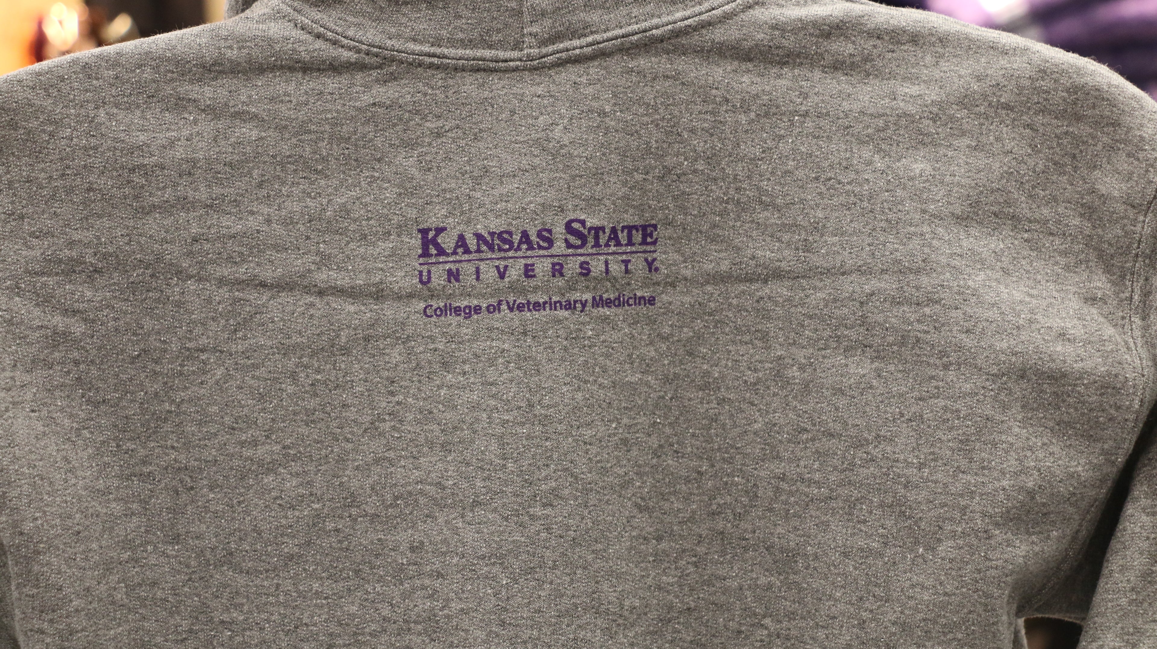 Youth hooded sweatshirt in gray color with a graphic Labcoat Willie design on the front.