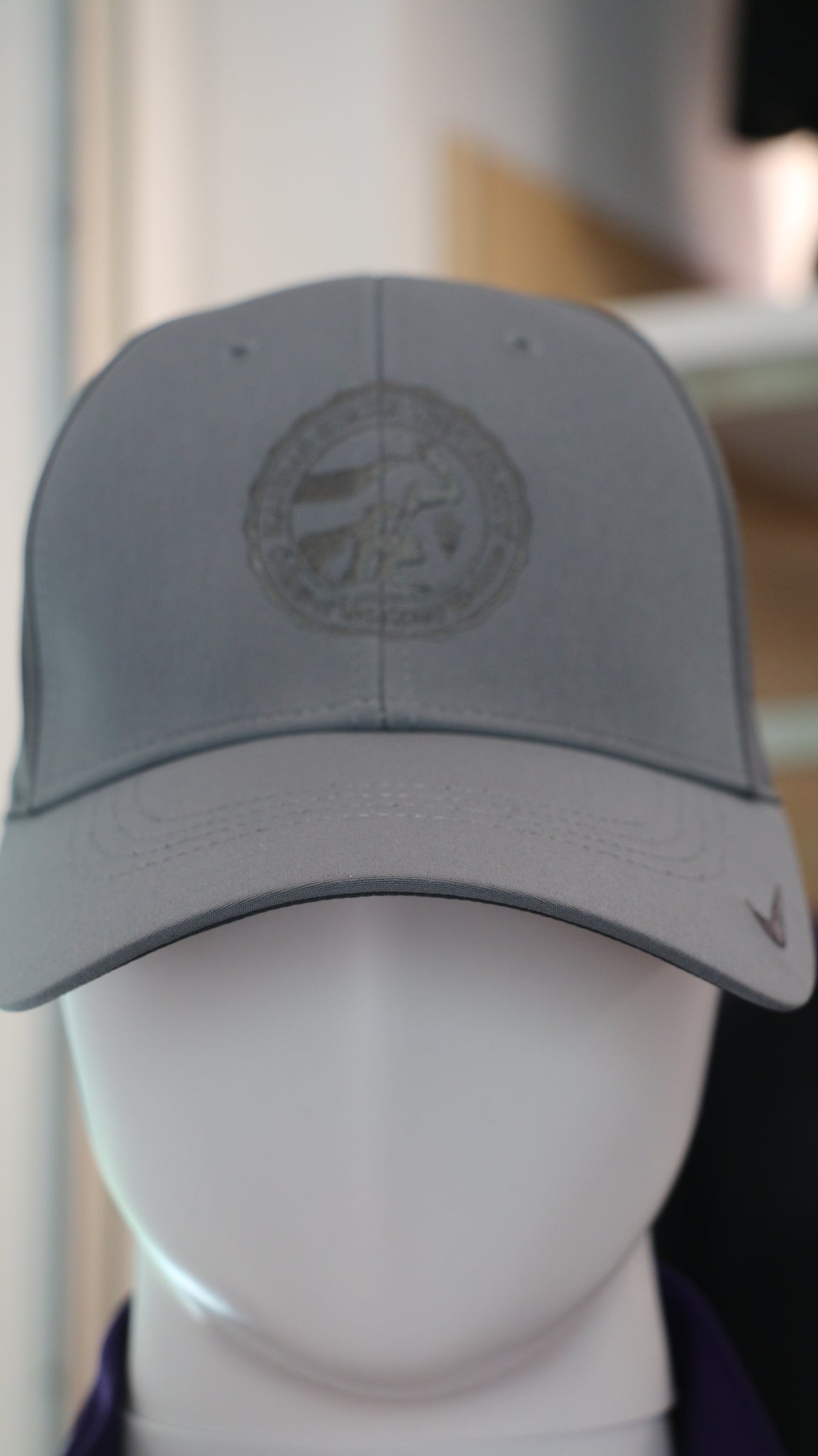 Nike Legacy 91 Hat Grey/Grey