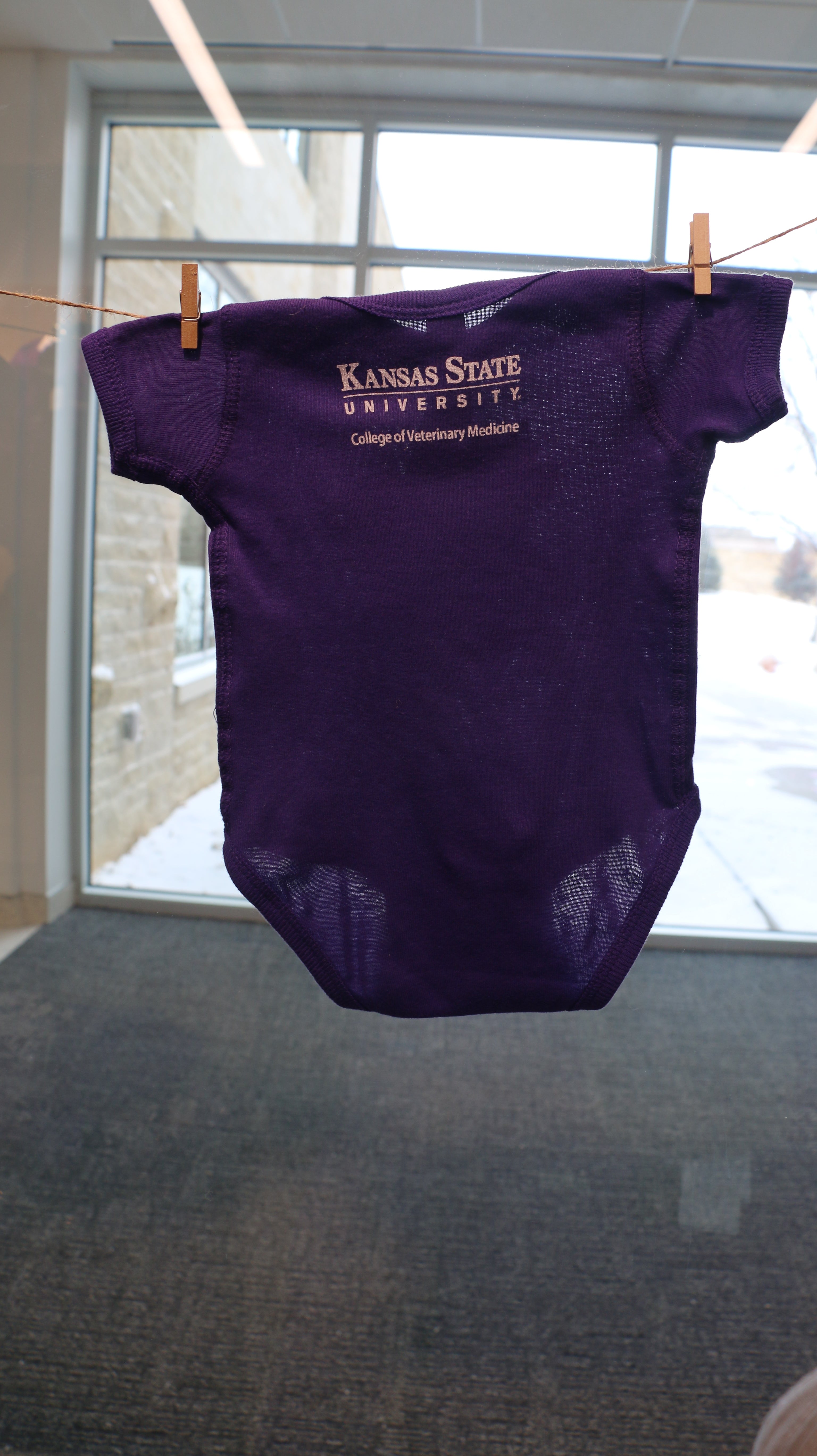 A rear view of the onesie with a white CVM logo in the upper middle back area. 
