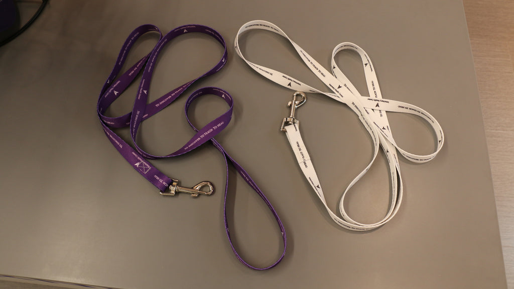 Purple or White polyester Pet Leash with heavy-duty silver snap hardware hooks and a loop handle for secure holding.

3/4" x 72"