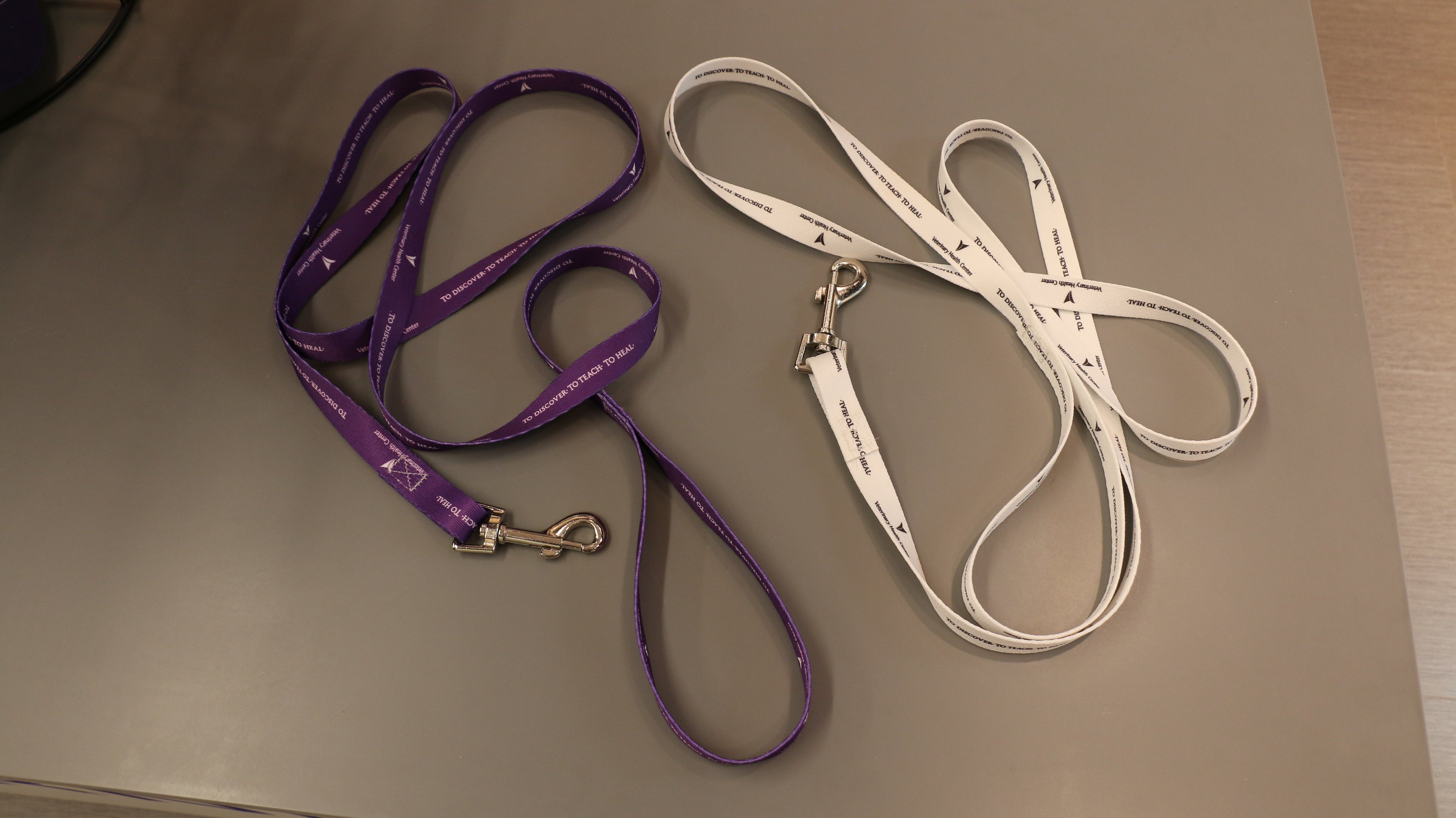 Purple or White polyester Pet Leash with heavy-duty silver snap hardware hooks and a loop handle for secure holding.

3/4" x 72"