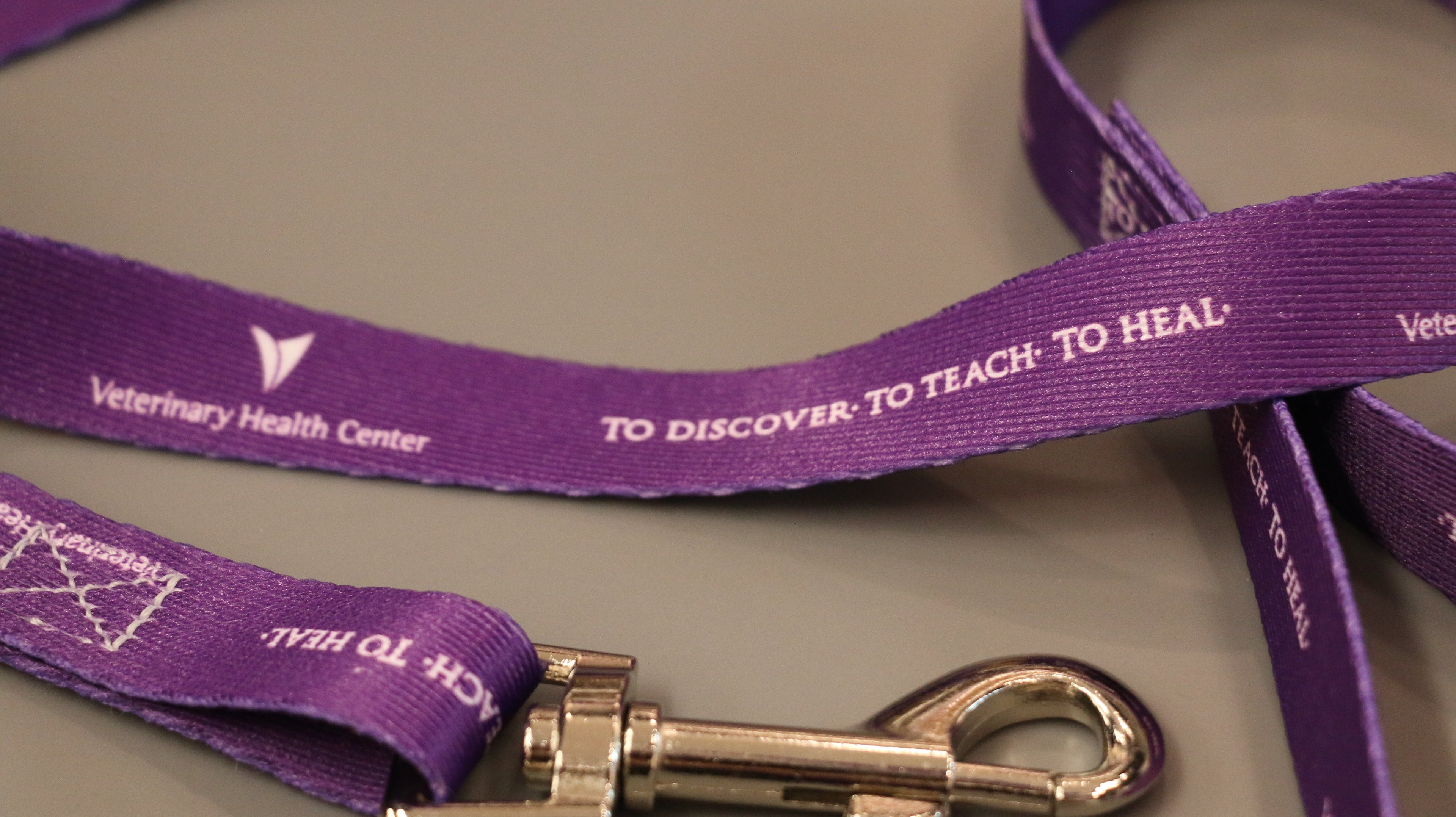 A close-up view of a purple polyester Pet Leash with heavy-duty silver snap hardware hooks and a loop handle for secure holding.