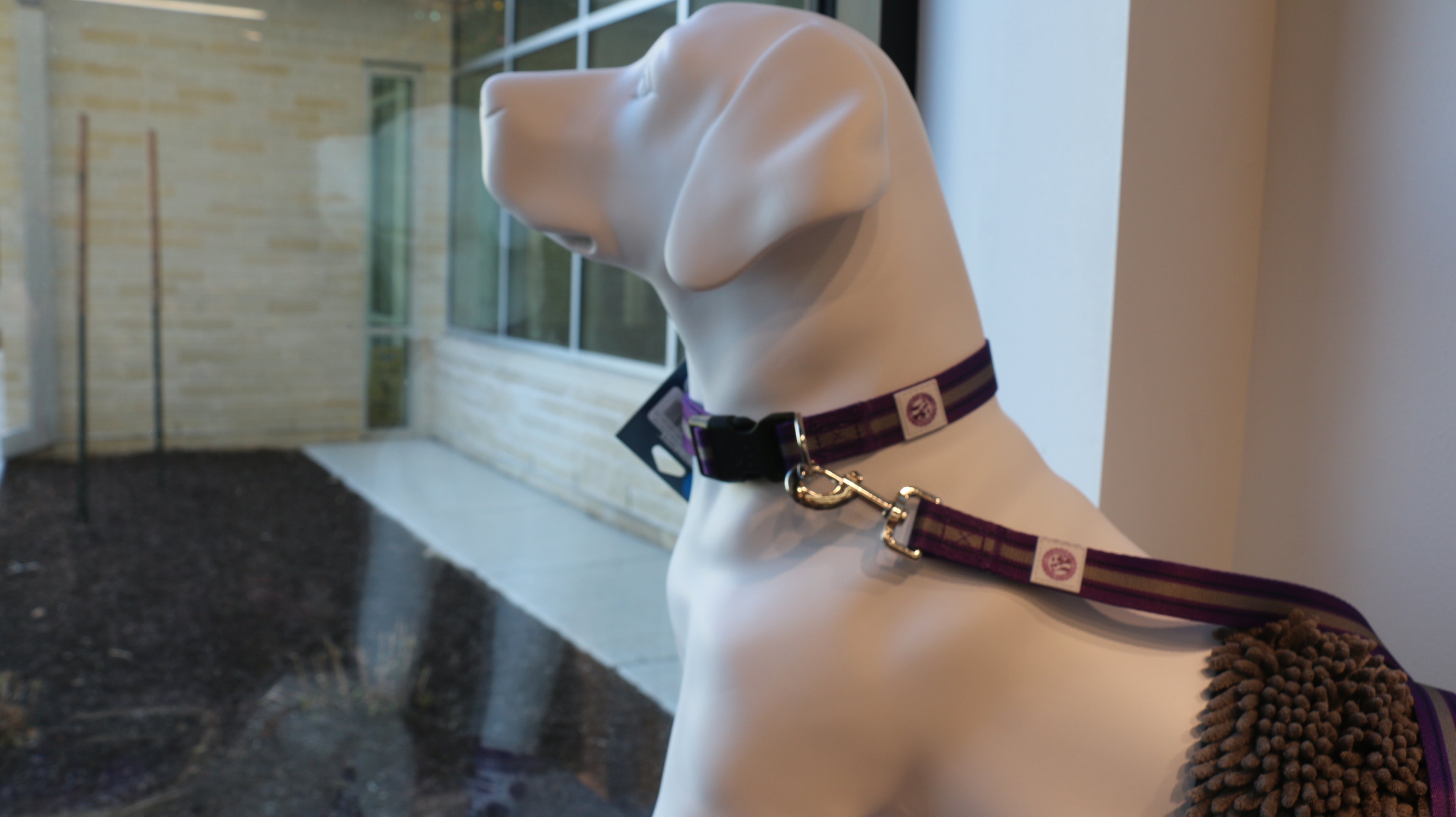A white mannequin dog wearing a striped purple and grey collar with the CVM seal. 