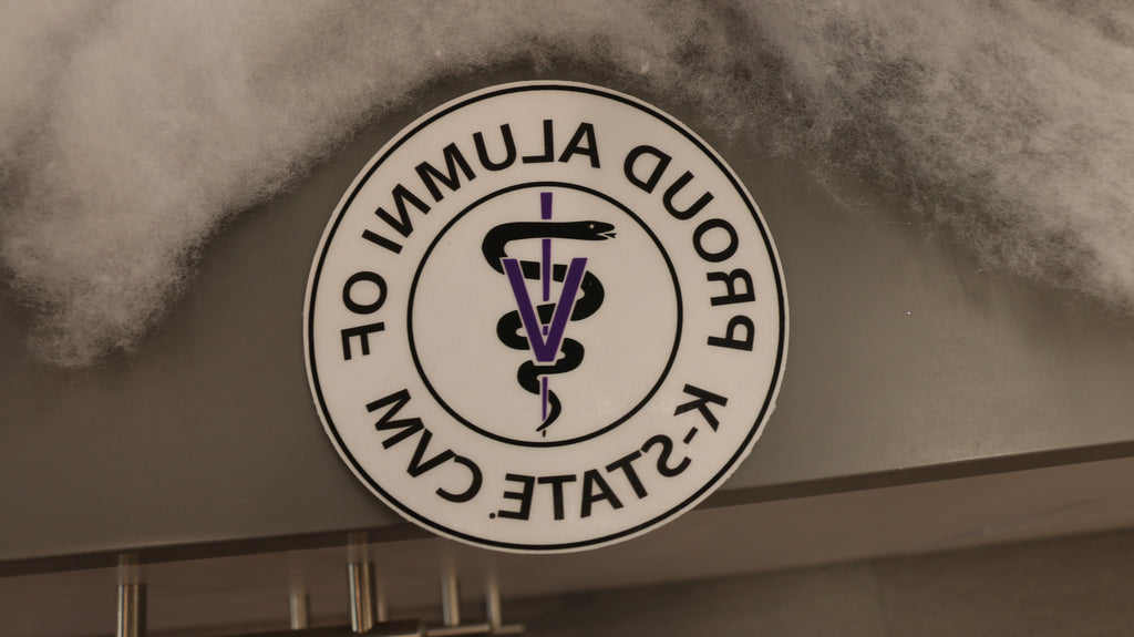 Proud Alumni Window Cling with a clear background and black lettering. 