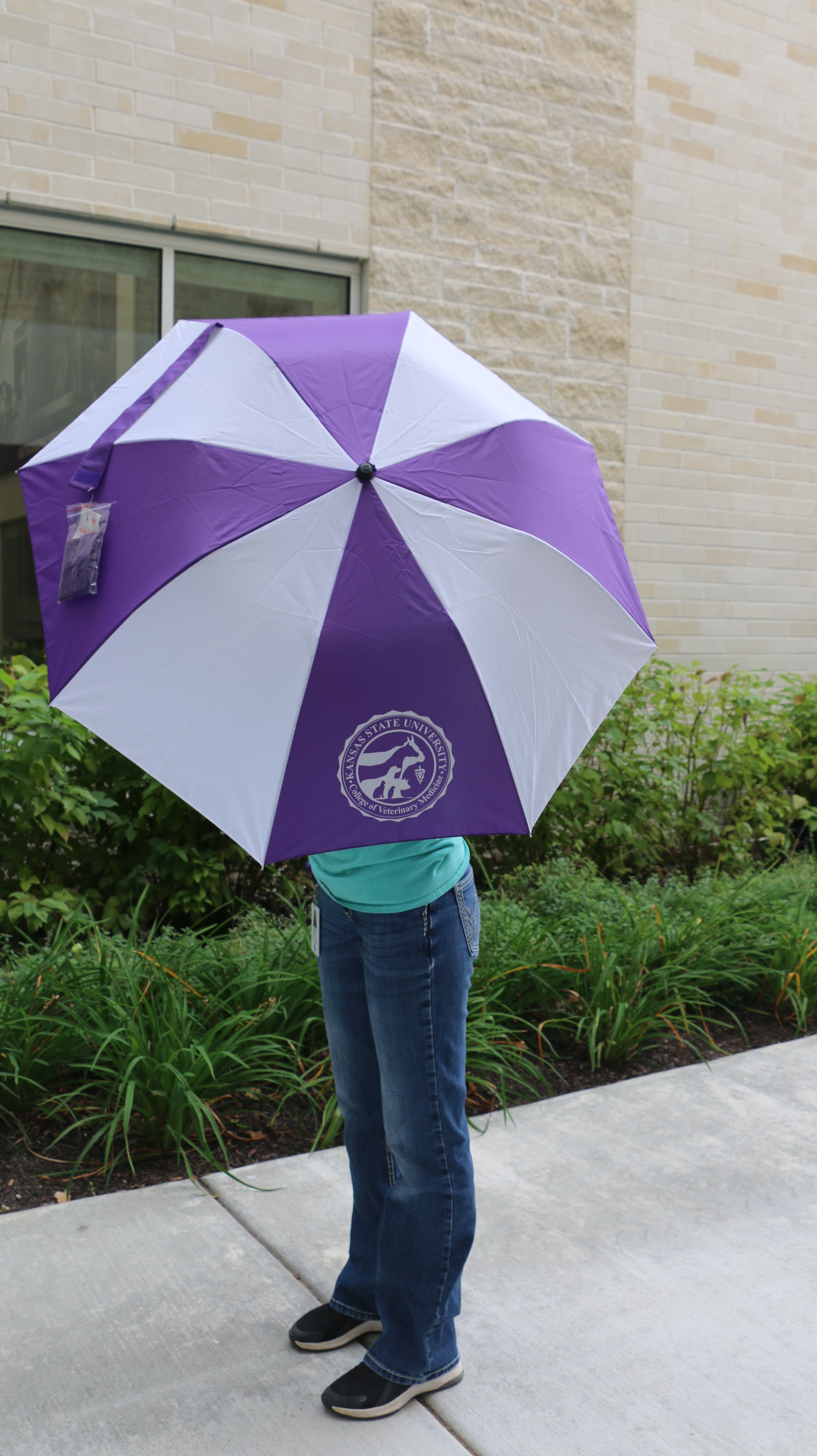 A person standing outdoors holding a purple and white striped umbrella with a white K-State College of Vet Med logo on one of the purple stripes. 