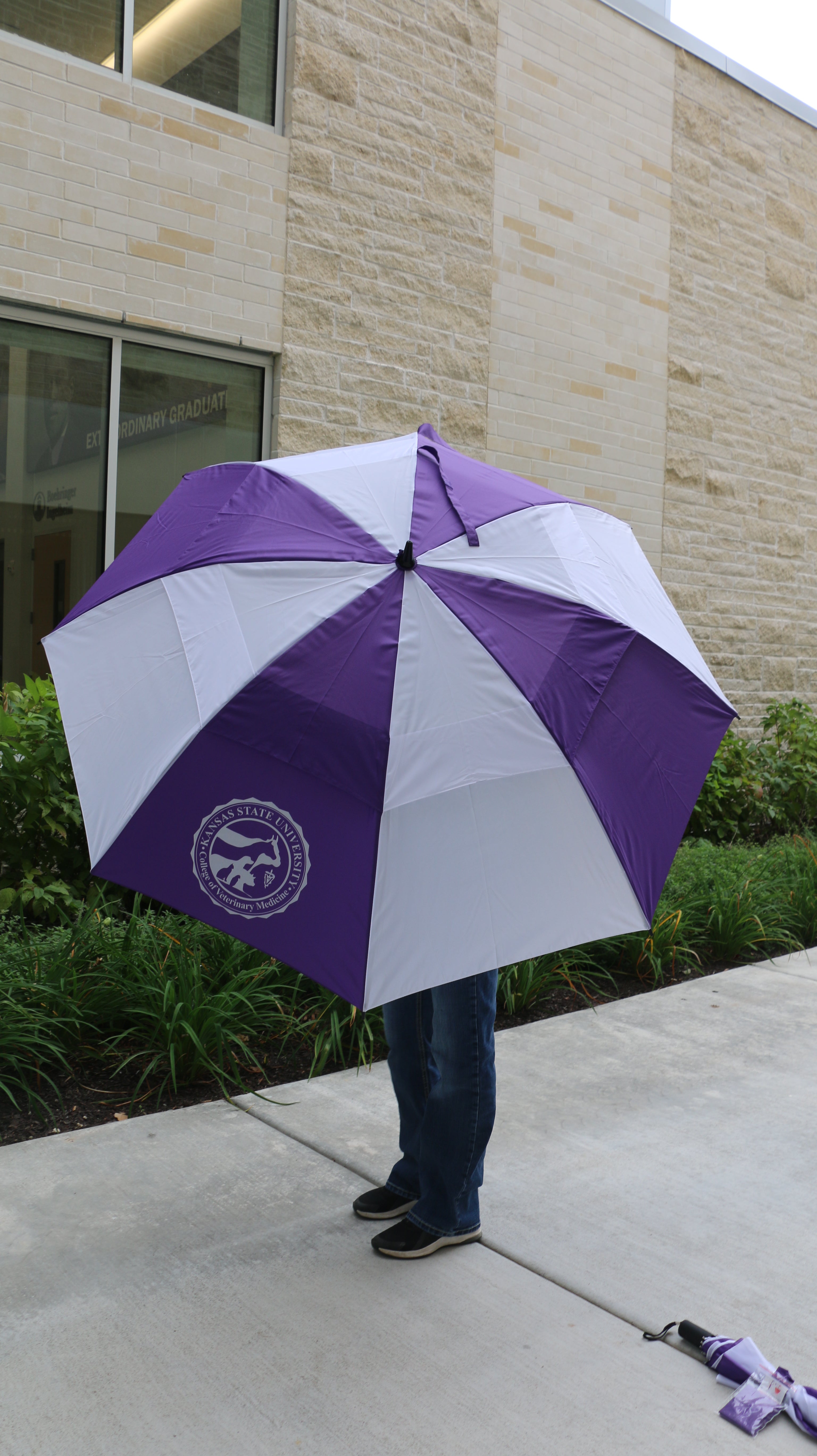 A person standing outdoors holding a purple and white striped umbrella with a white K-State College of Vet Med logo on one of the purple stripes. 