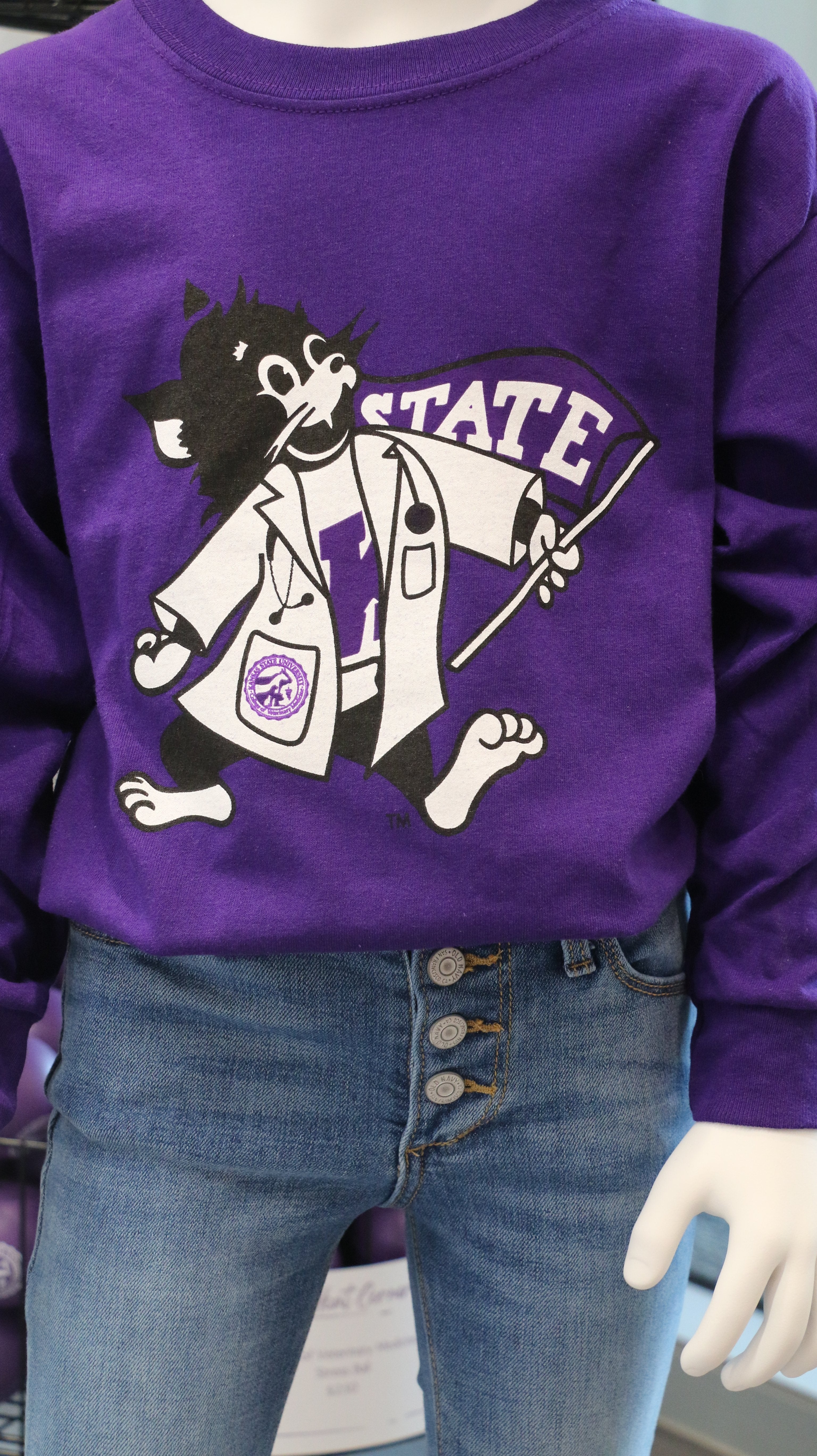 A mannequin displaying a purple youth-sized purple Gildan long sleeve t-shirt with a LabCoat Willie graphic print in the center.
